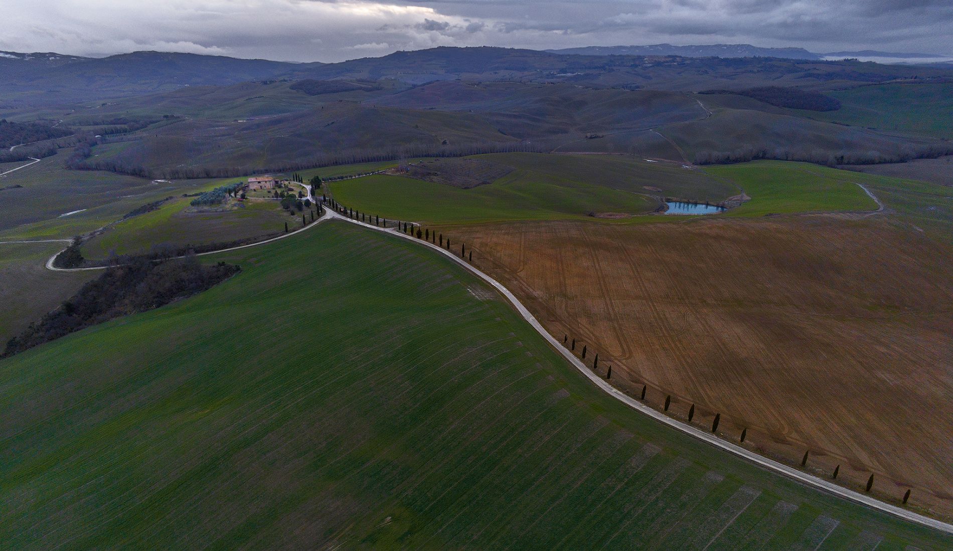 The gladiator road in Terrapille with cypress trees